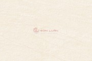 Gạch Ốp Lát APODIO 66122302